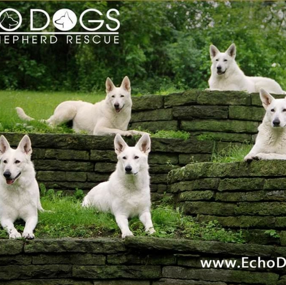 Meet your Posher, Norma - Picture 8 of 8